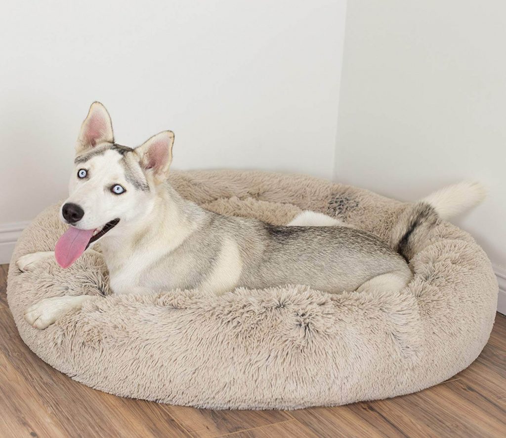 The Best Large Dog Beds in 2019