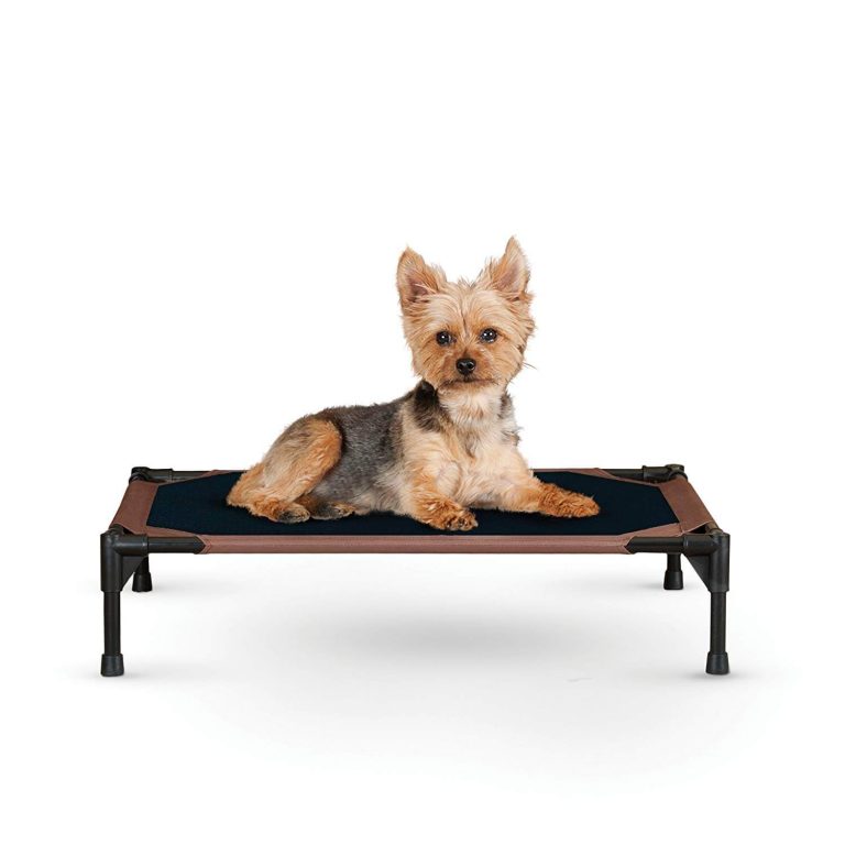 The Best Small Dog Beds in 2019