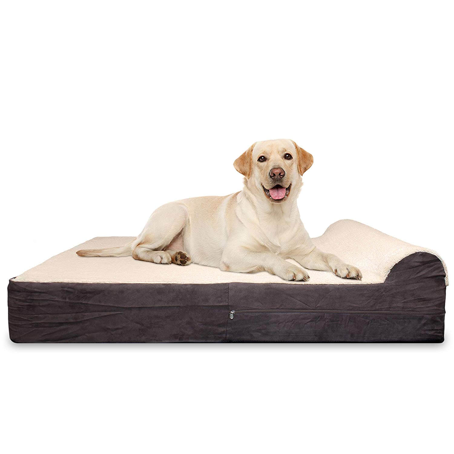 Best Orthopedic Dog Beds in 2019