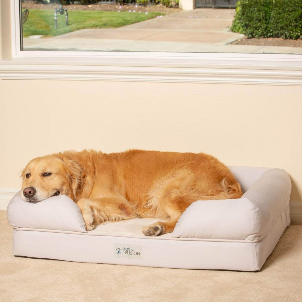 Best Orthopedic Dog Beds in 2019