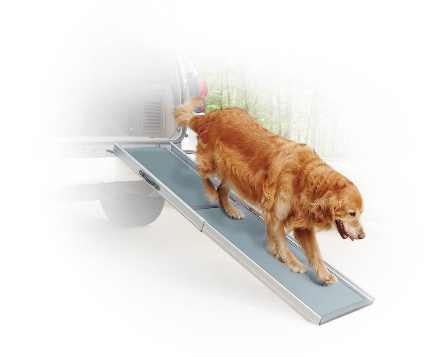 5 Best Dog Ramps for Cars/SUVs/Trucks 2019